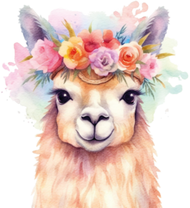 Lama